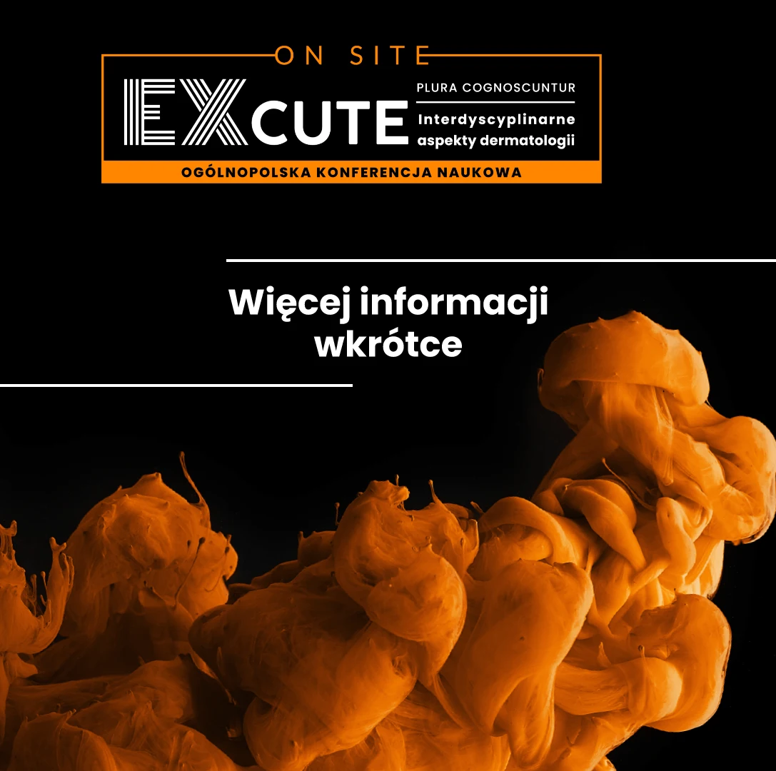 baner_zaslepka2_EXCUTE2027 baner zaslepka EXCUTE2027